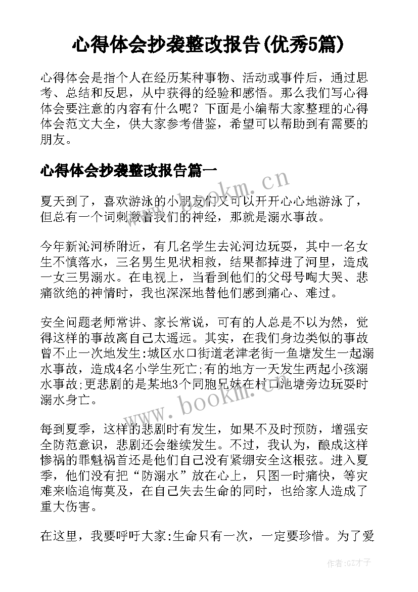 心得体会抄袭整改报告(优秀5篇)