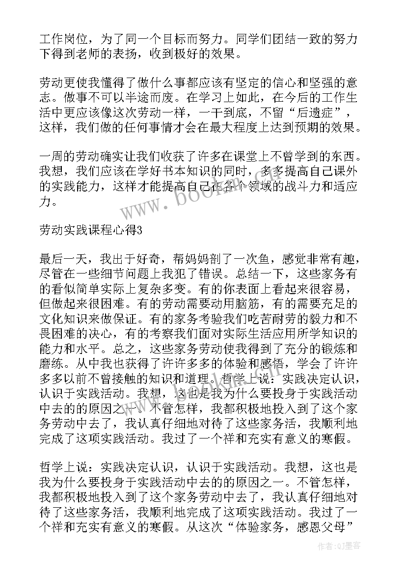 大棚实践体会 实践课心得体会(模板7篇)