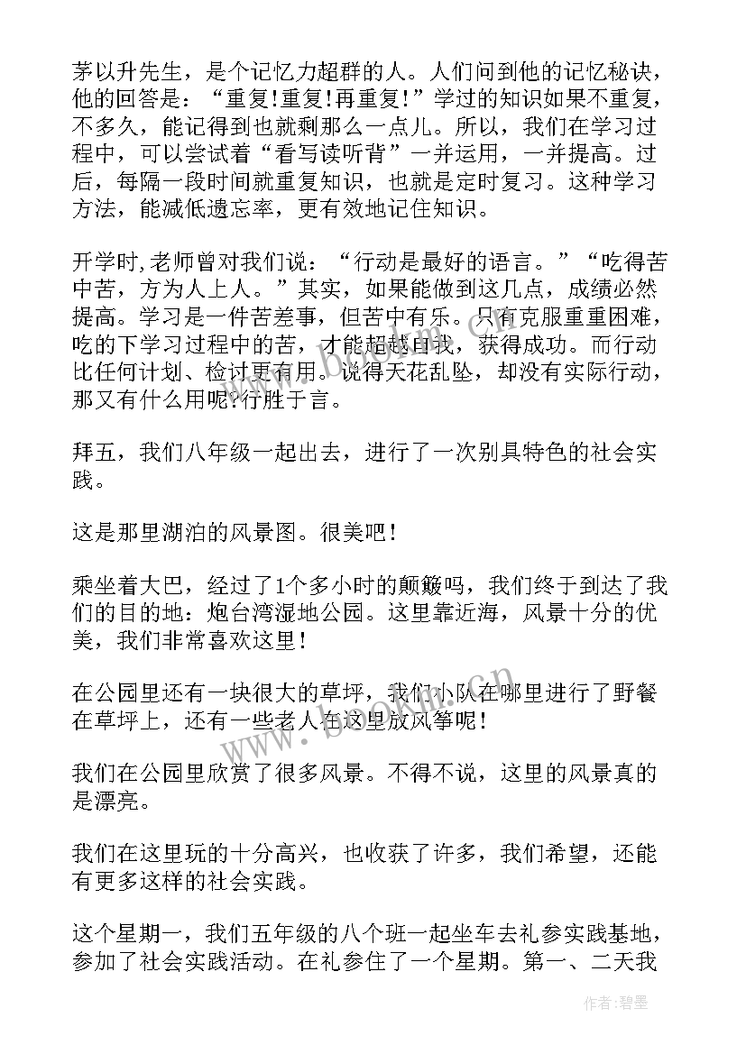 2023年练字心得体会随笔(模板5篇)