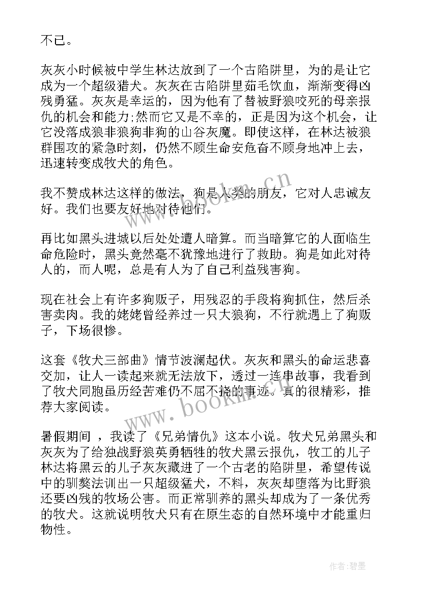 2023年牧犬兄弟读后感(通用5篇)