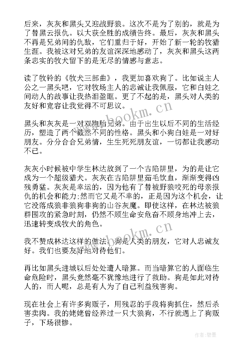 2023年牧犬兄弟读后感(通用5篇)