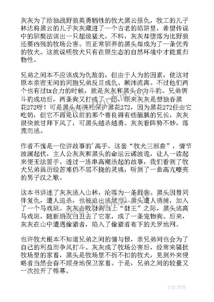 2023年牧犬兄弟读后感(通用5篇)