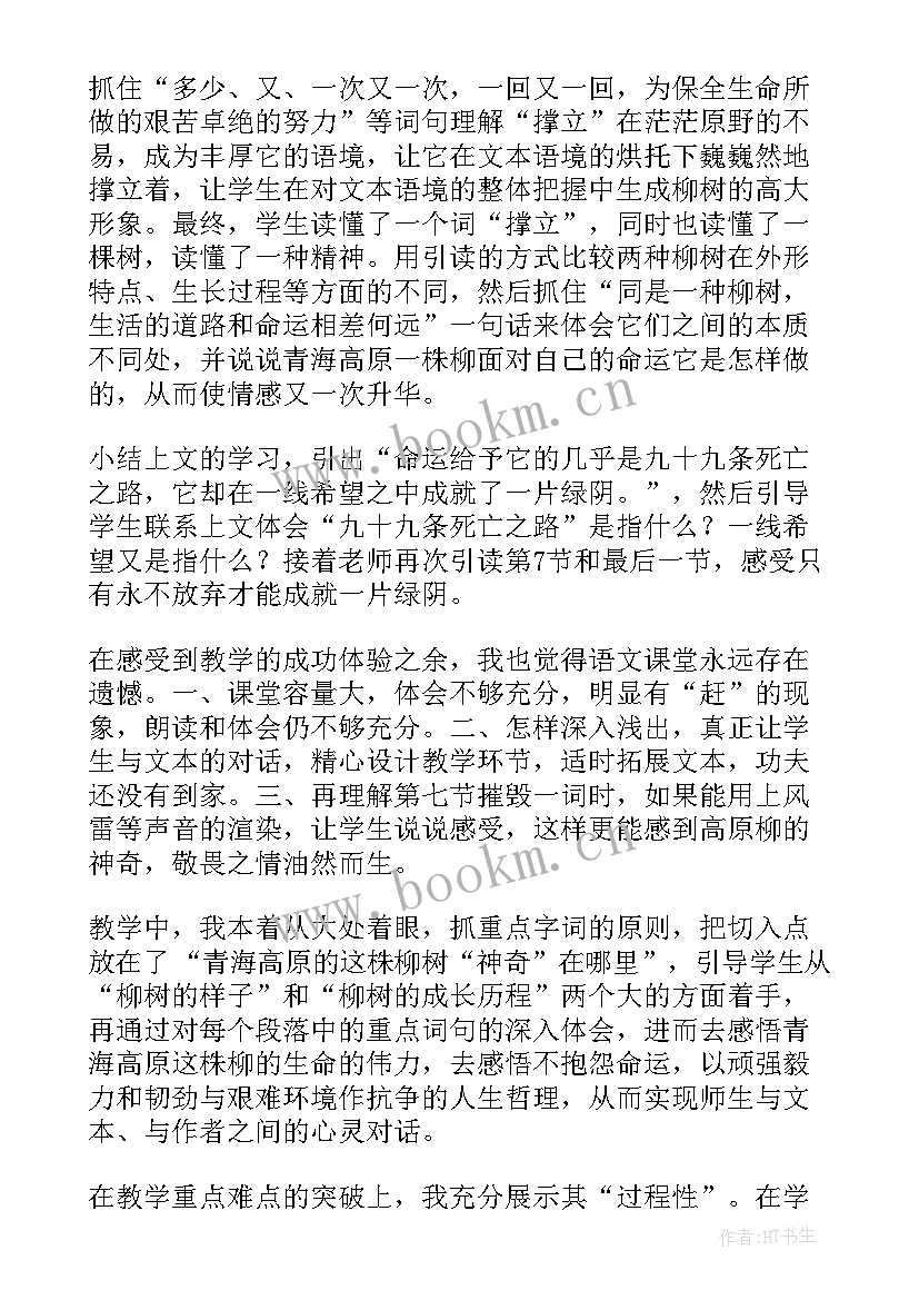 最新柳编心得体会 青海高原一株柳实录(精选5篇)