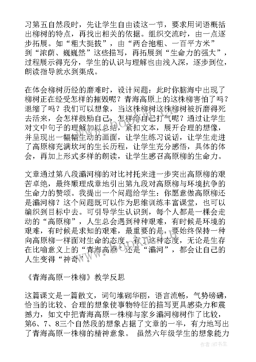 最新柳编心得体会 青海高原一株柳实录(精选5篇)