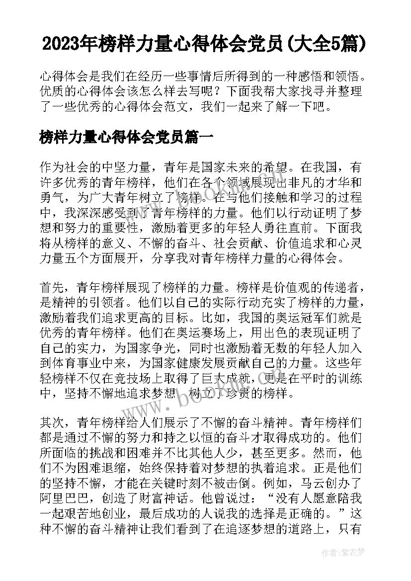 2023年榜样力量心得体会党员(大全5篇)