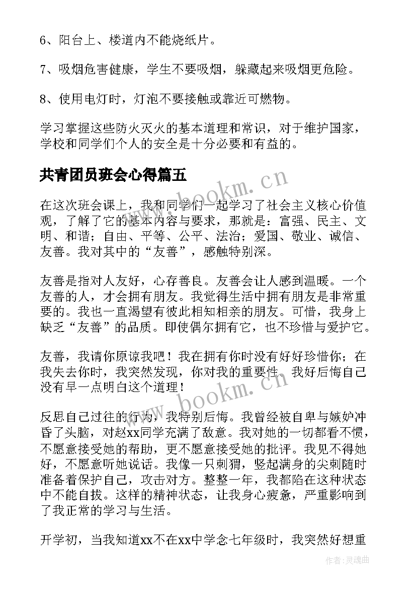 共青团员班会心得(精选8篇)