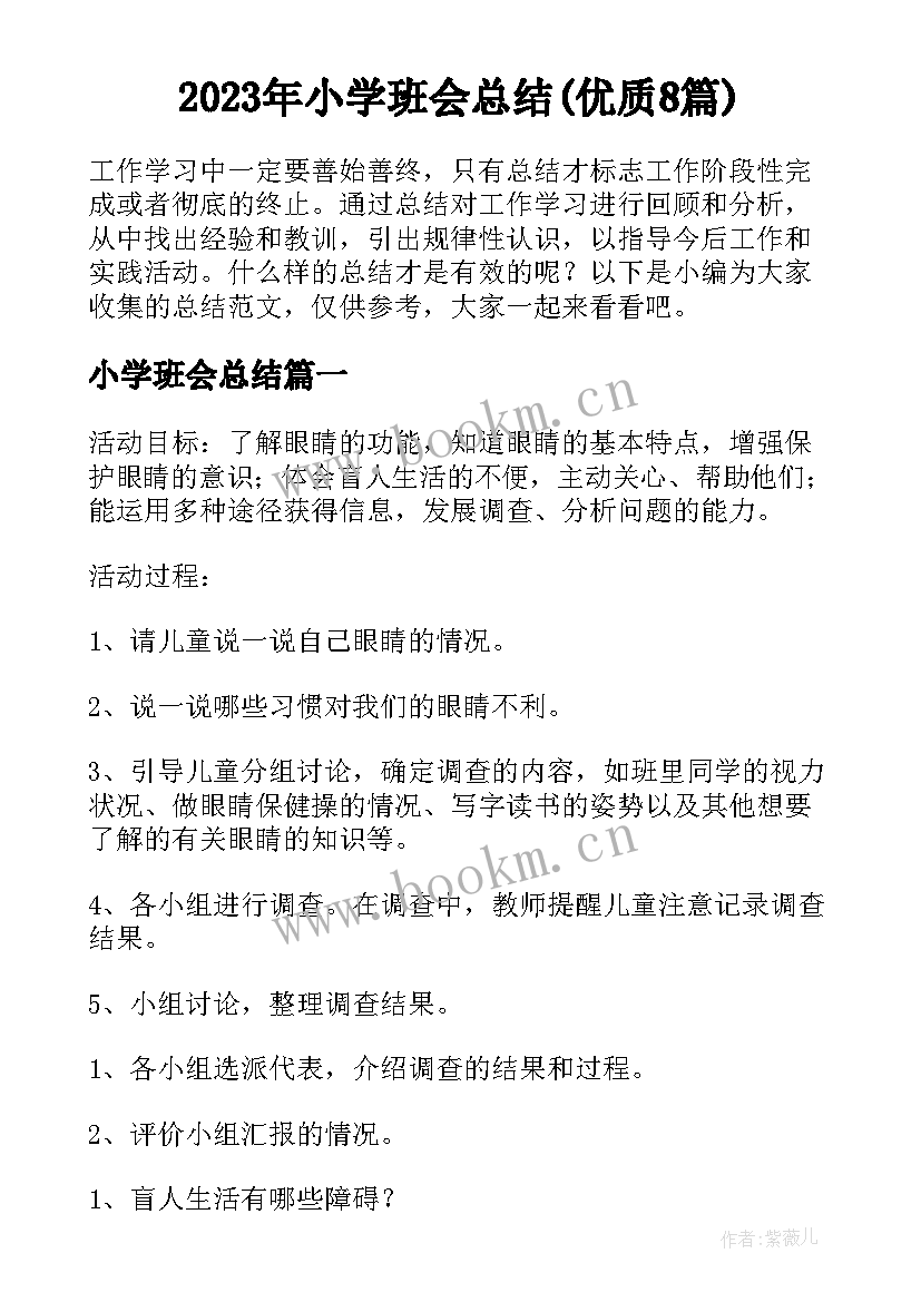 2023年小学班会总结(优质8篇)