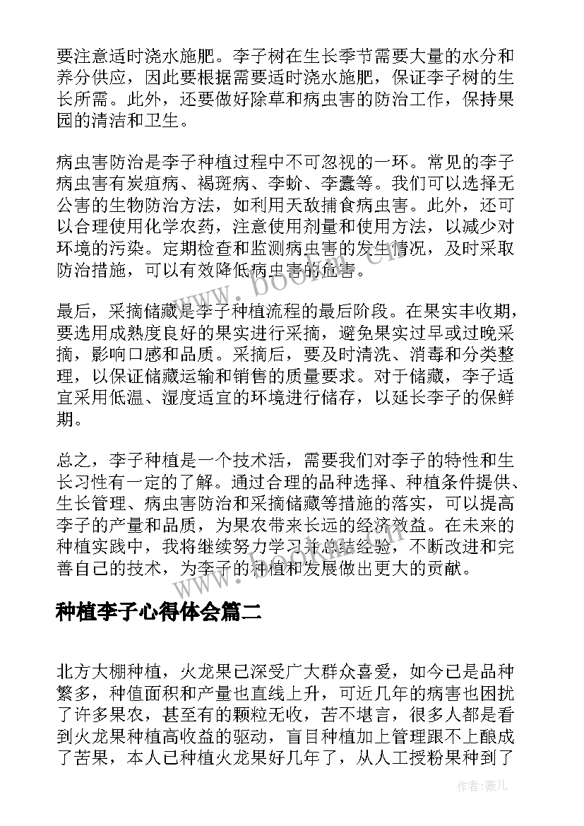 最新种植李子心得体会 李子种植心得体会(优质5篇)