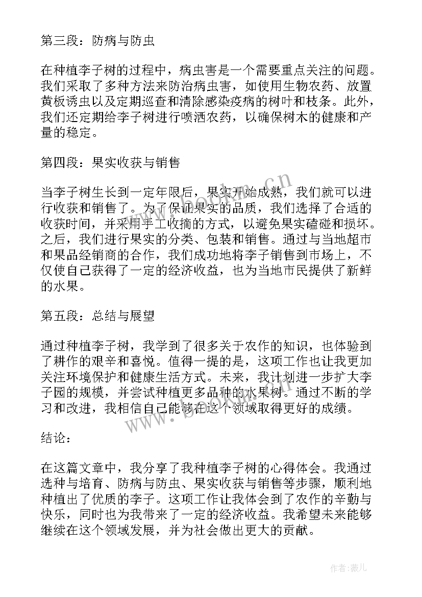 最新种植李子心得体会 李子种植心得体会(优质5篇)