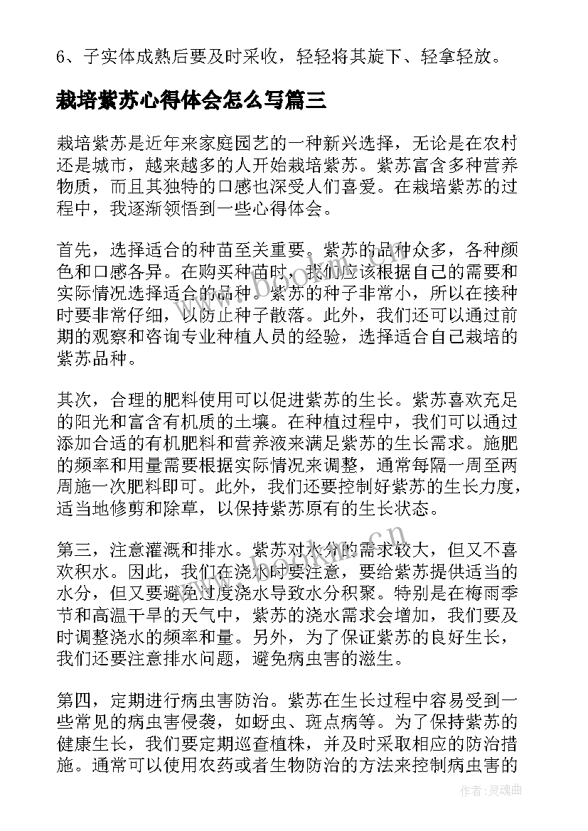 最新栽培紫苏心得体会怎么写(优质5篇)