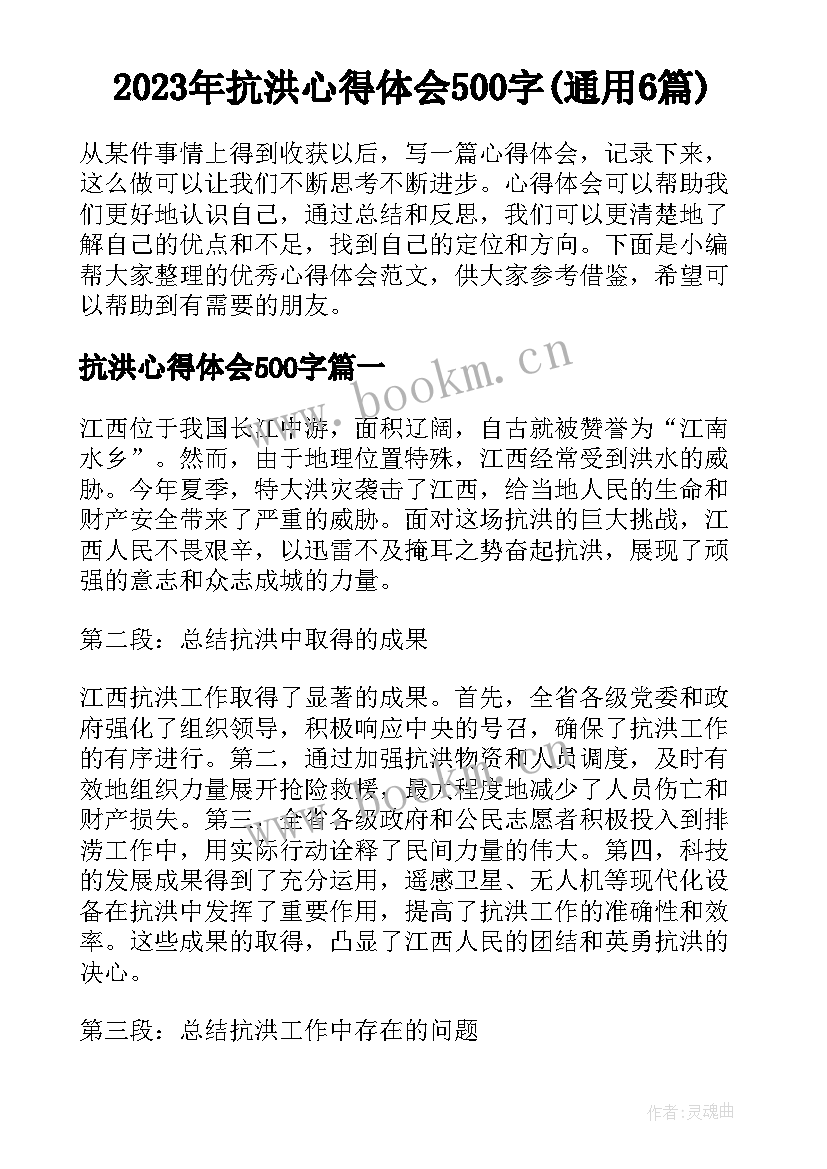 2023年抗洪心得体会500字(通用6篇)