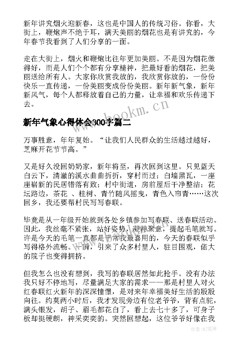 最新新年气象心得体会300字(模板10篇)