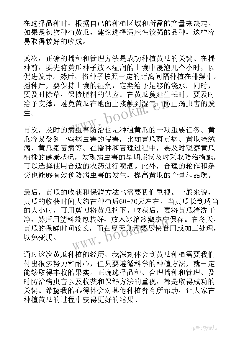 2023年拌黄瓜心得体会300字(精选7篇)