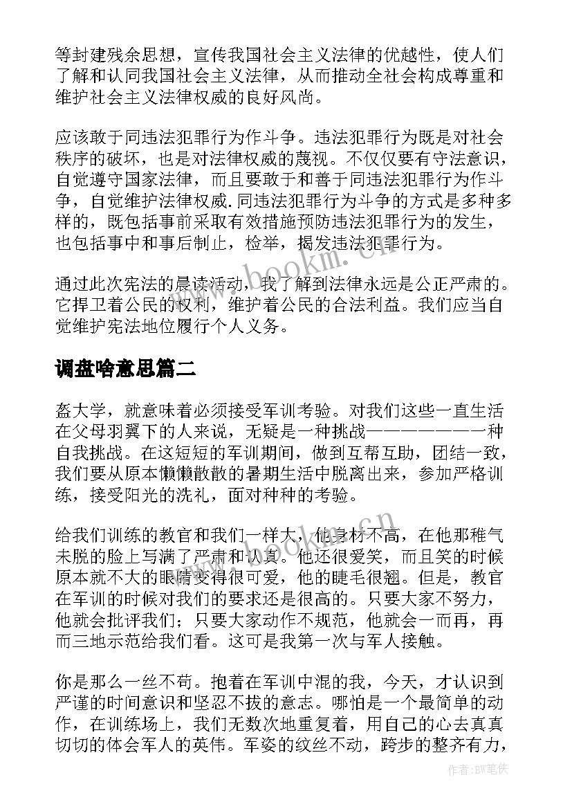 调盘啥意思 宪法心得体会心得体会(模板9篇)