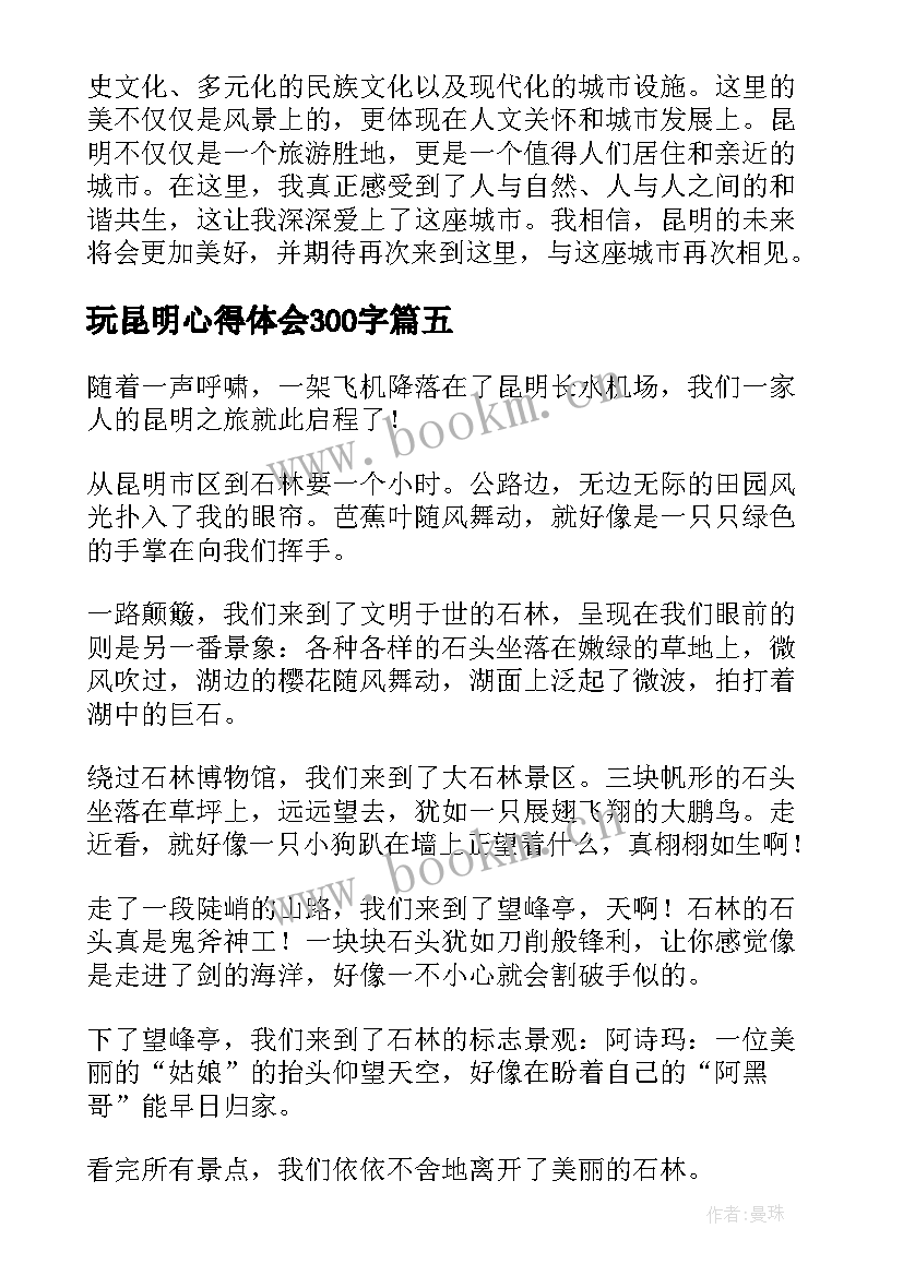 2023年玩昆明心得体会300字(实用8篇)