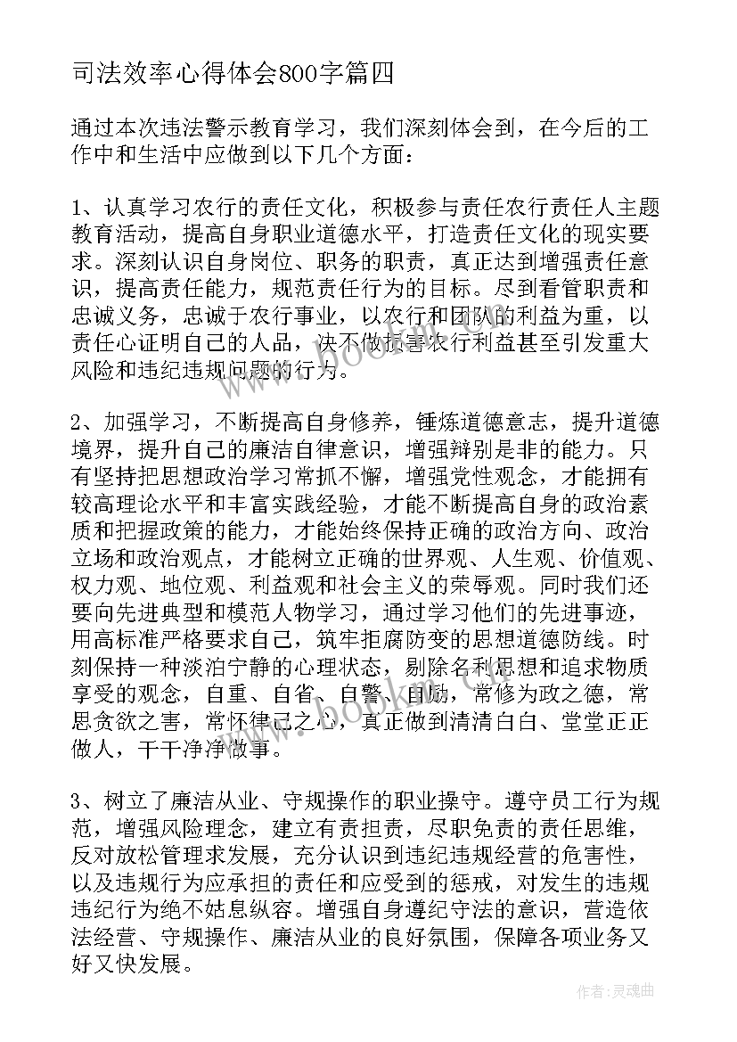 2023年司法效率心得体会800字(精选10篇)