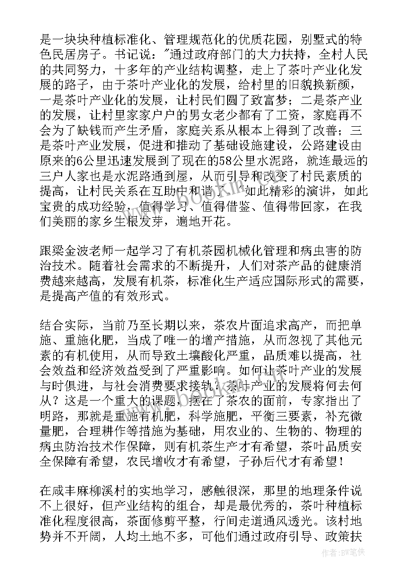 最新扶智育根心得体会(优质5篇)