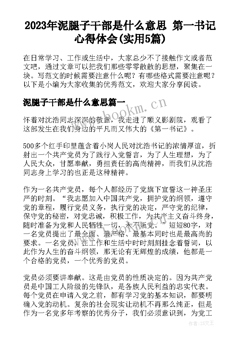 2023年泥腿子干部是什么意思 第一书记心得体会(实用5篇)