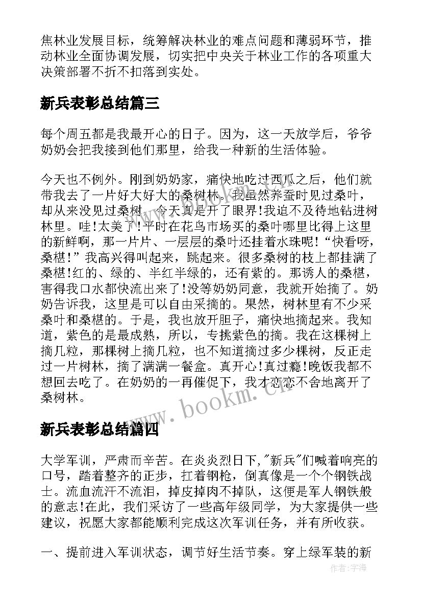 2023年新兵表彰总结(精选7篇)