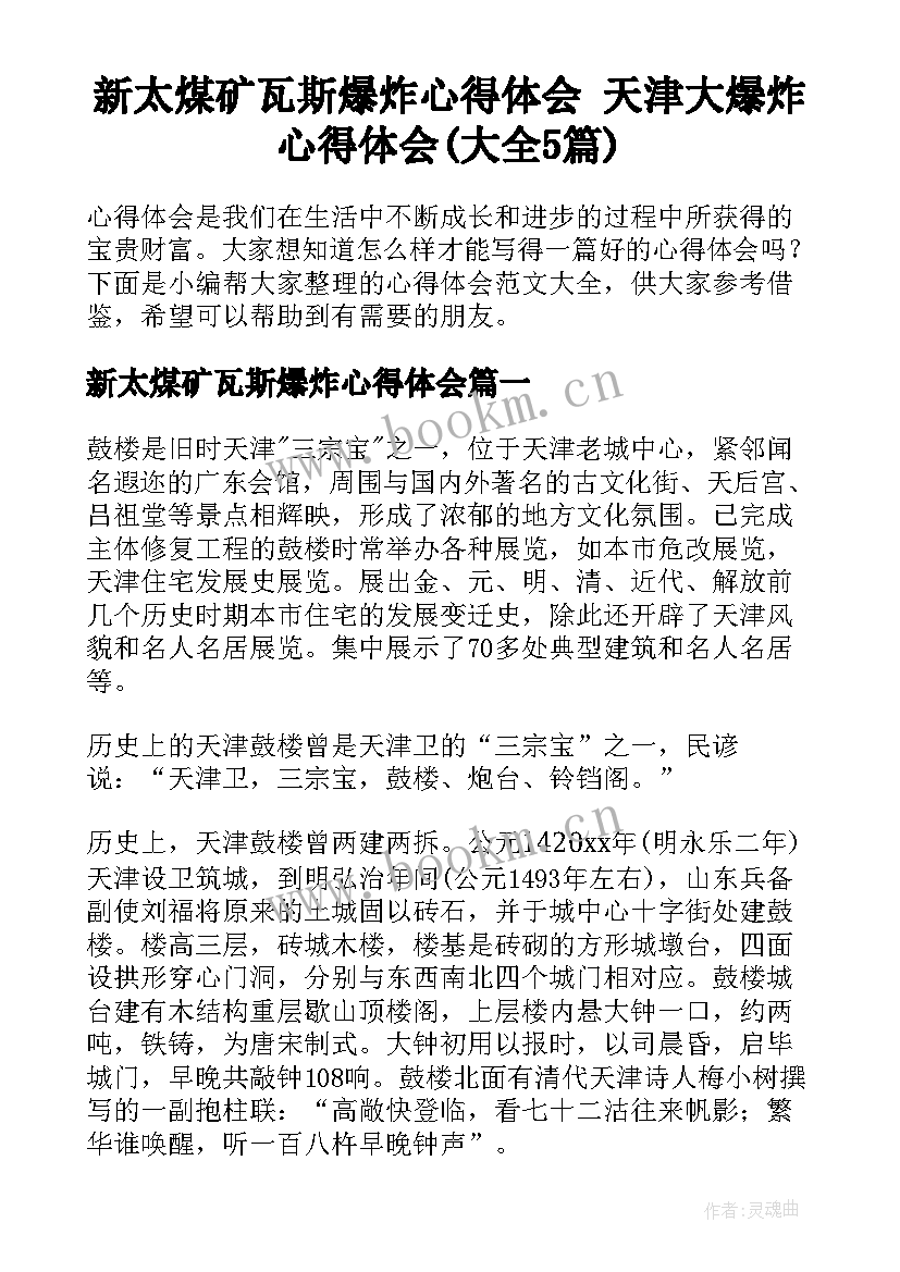 新太煤矿瓦斯爆炸心得体会 天津大爆炸心得体会(大全5篇)