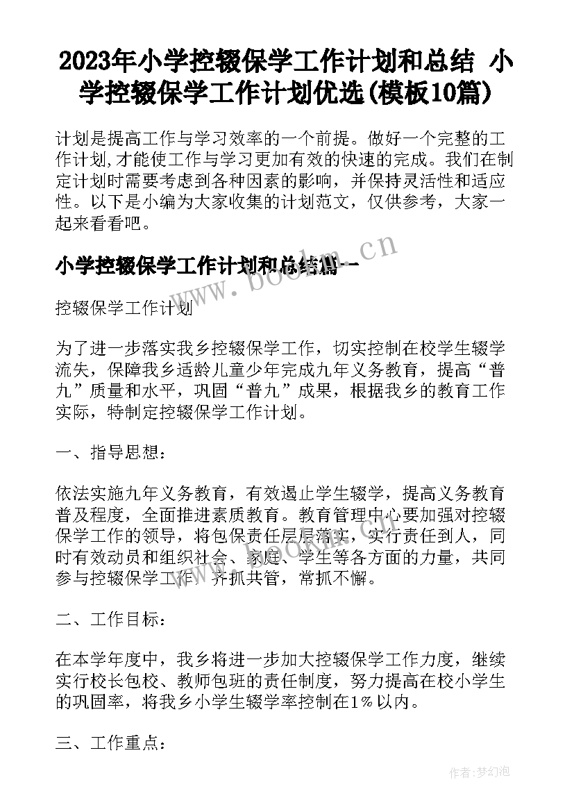 2023年小学控辍保学工作计划和总结 小学控辍保学工作计划优选(模板10篇)