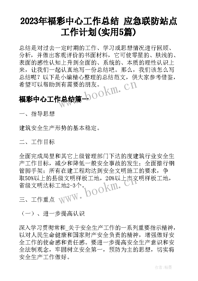 2023年福彩中心工作总结 应急联防站点工作计划(实用5篇)