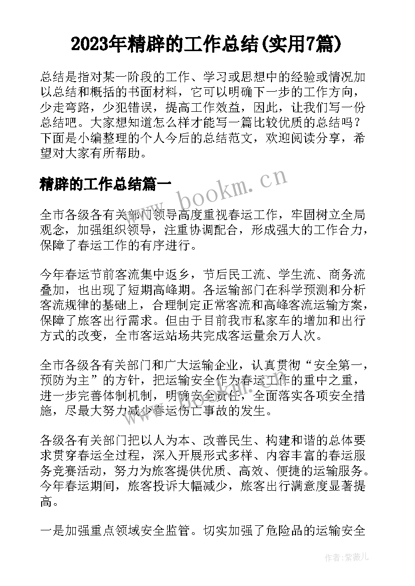 2023年精辟的工作总结(实用7篇)