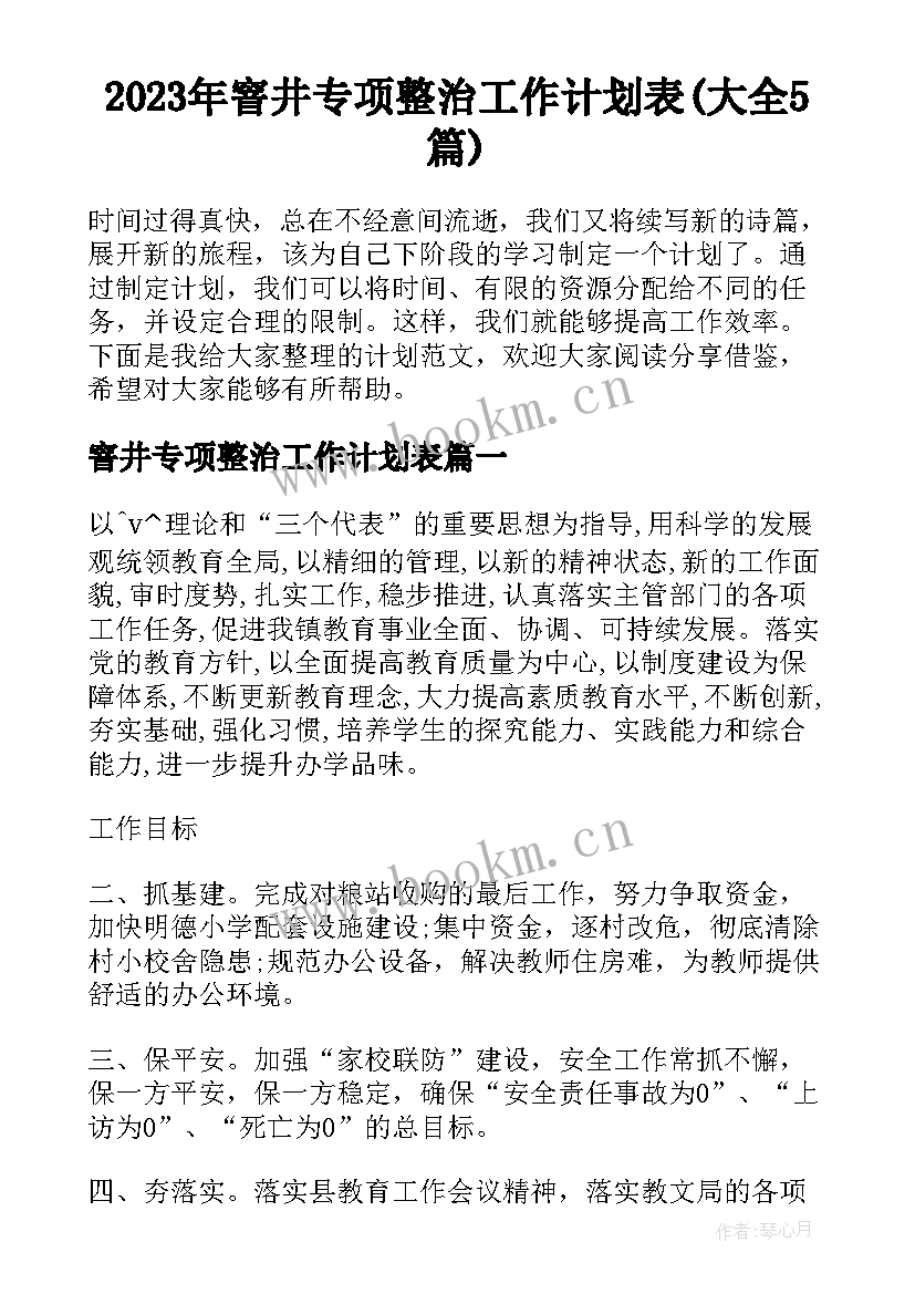 2023年窨井专项整治工作计划表(大全5篇)