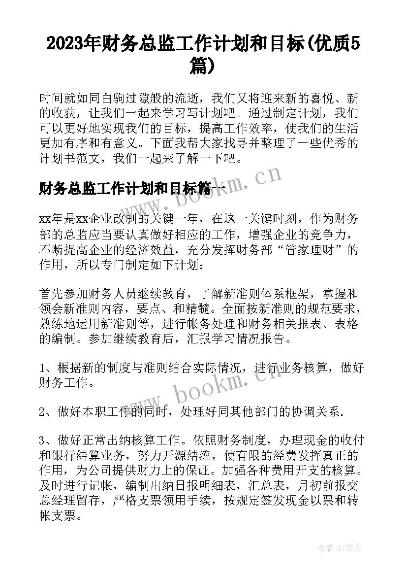 2023年财务总监工作计划和目标(优质5篇)