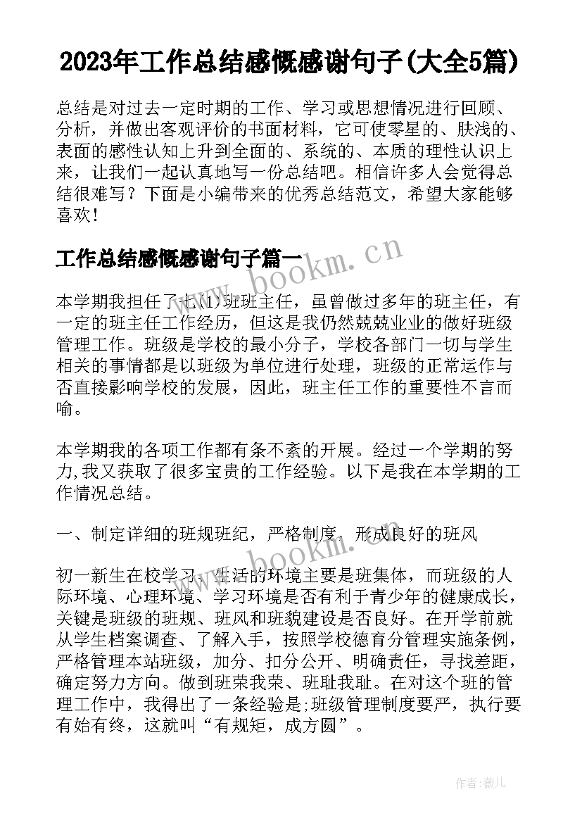 2023年工作总结感慨感谢句子(大全5篇)