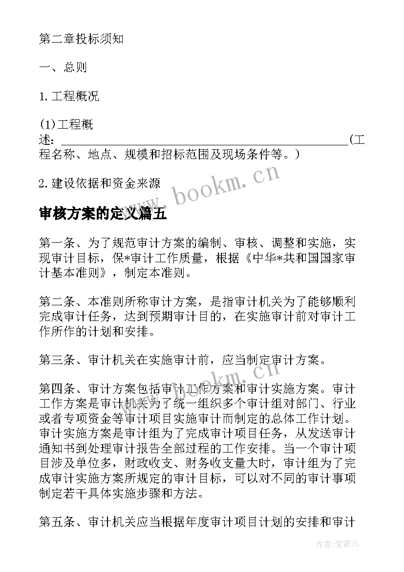 2023年审核方案的定义(精选5篇)