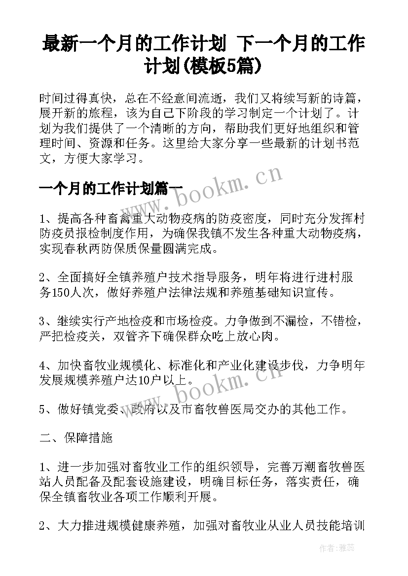 最新一个月的工作计划 下一个月的工作计划(模板5篇)