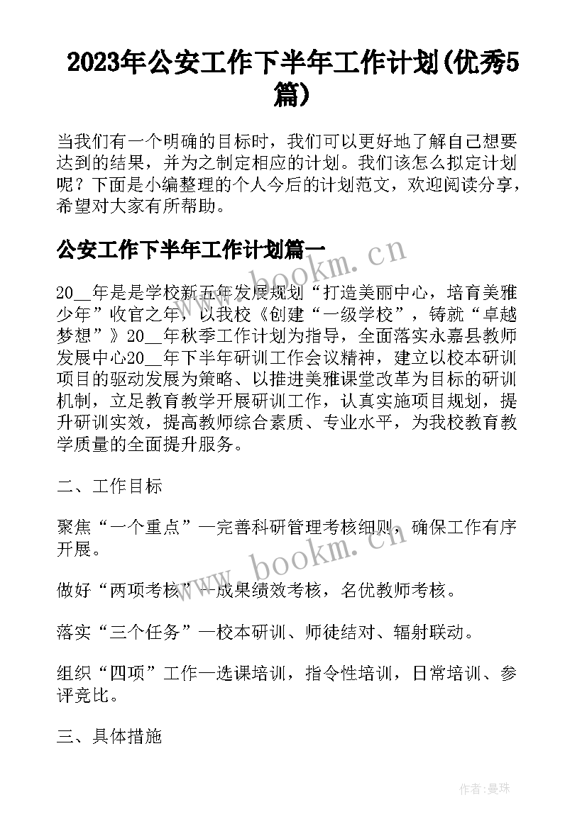 2023年公安工作下半年工作计划(优秀5篇)