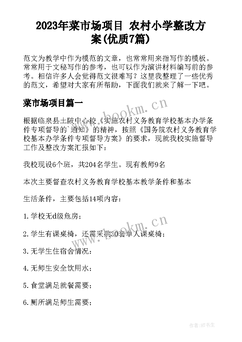 2023年菜市场项目 农村小学整改方案(优质7篇)