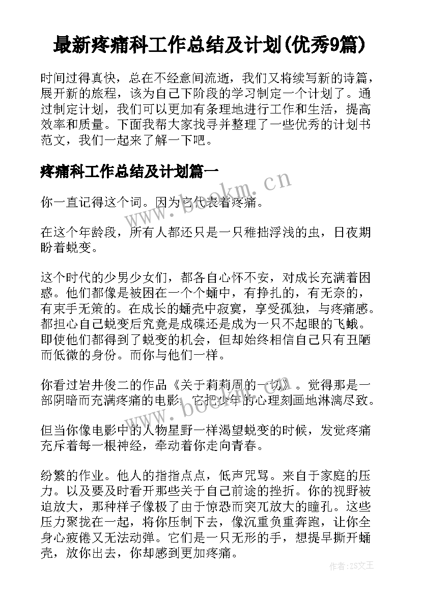 最新疼痛科工作总结及计划(优秀9篇)