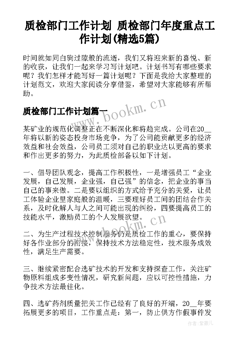 质检部门工作计划 质检部门年度重点工作计划(精选5篇)