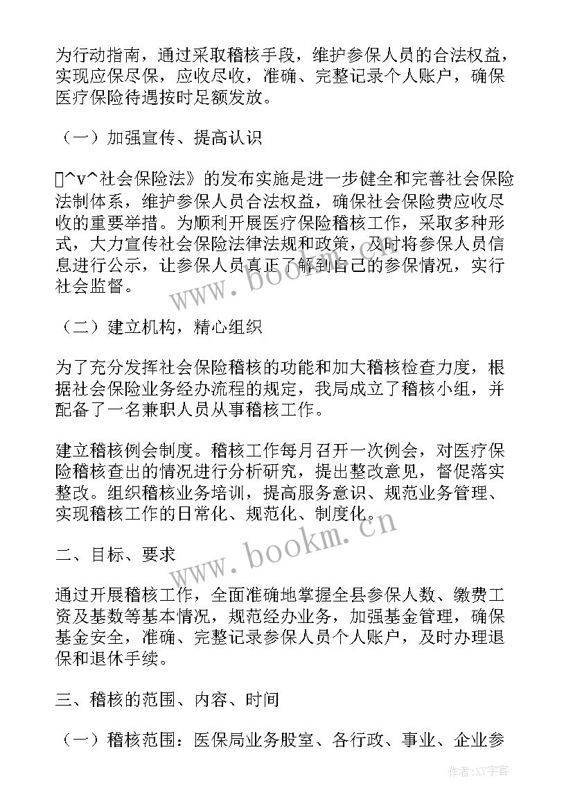 医保稽核专项工作计划(大全5篇)