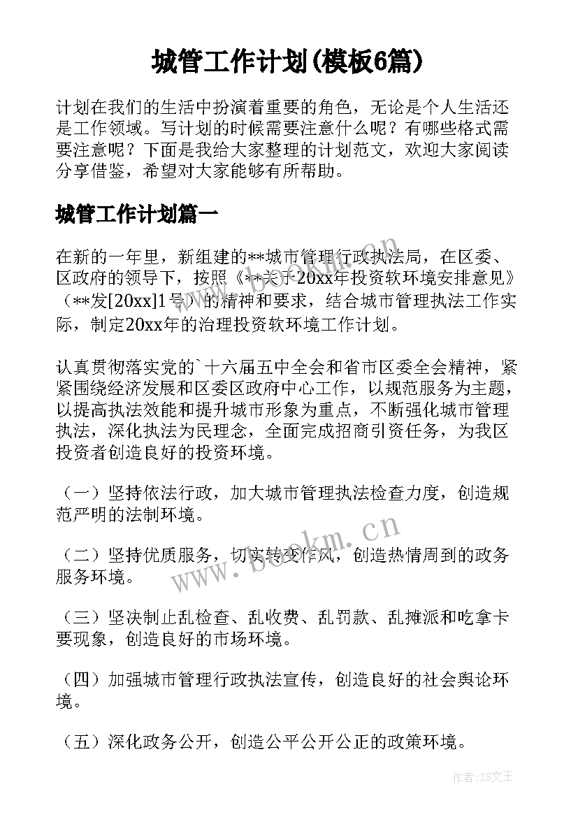 城管工作计划(模板6篇)