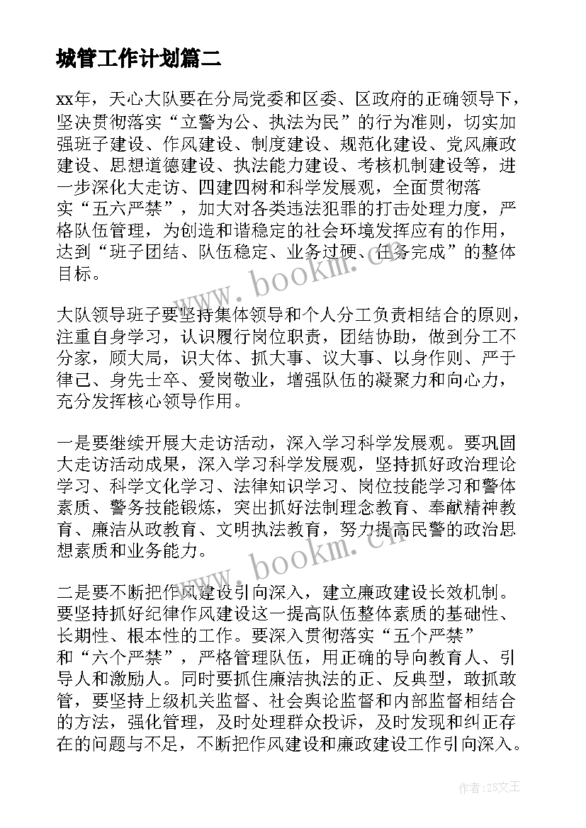 城管工作计划(模板6篇)