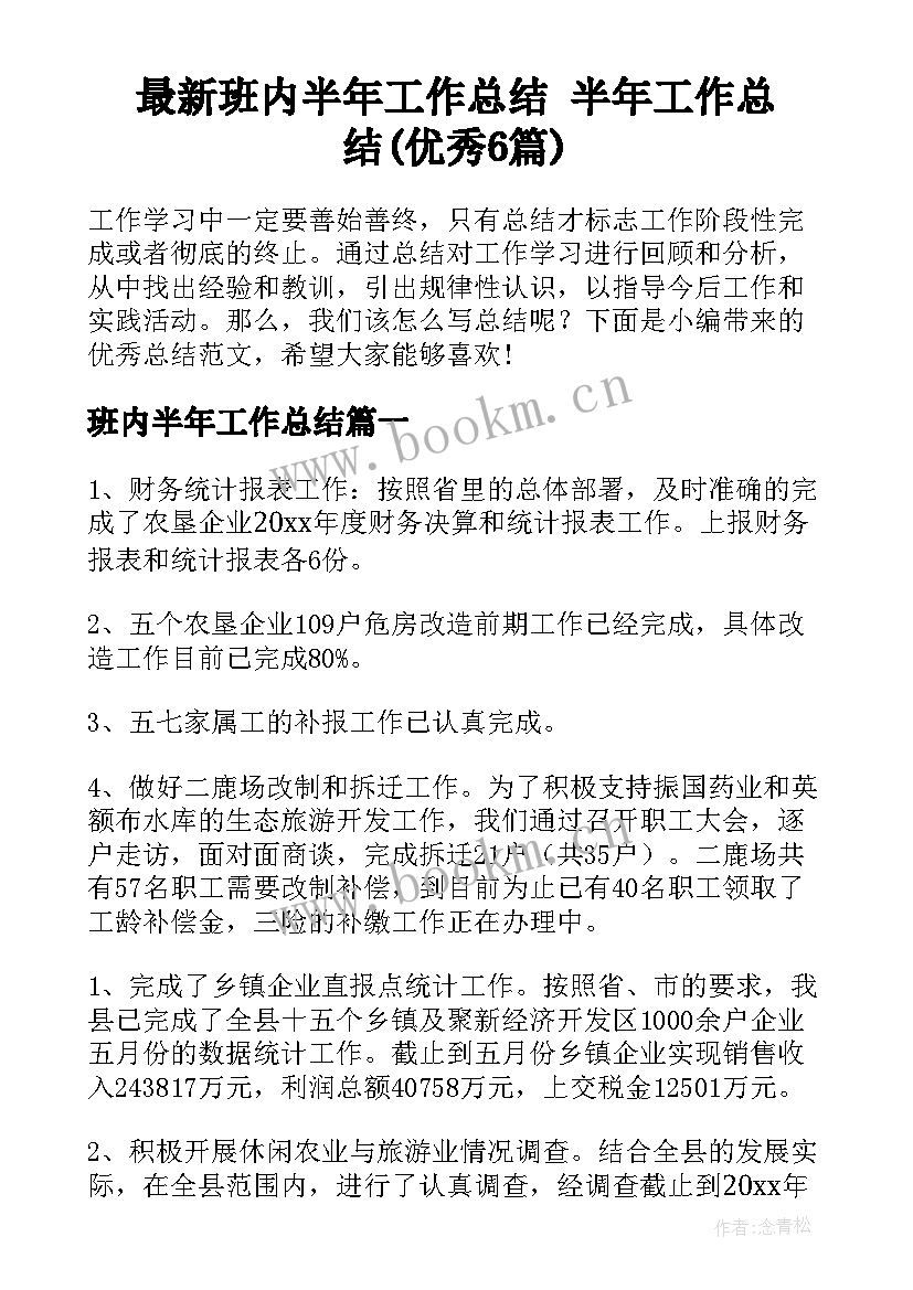 最新班内半年工作总结 半年工作总结(优秀6篇)