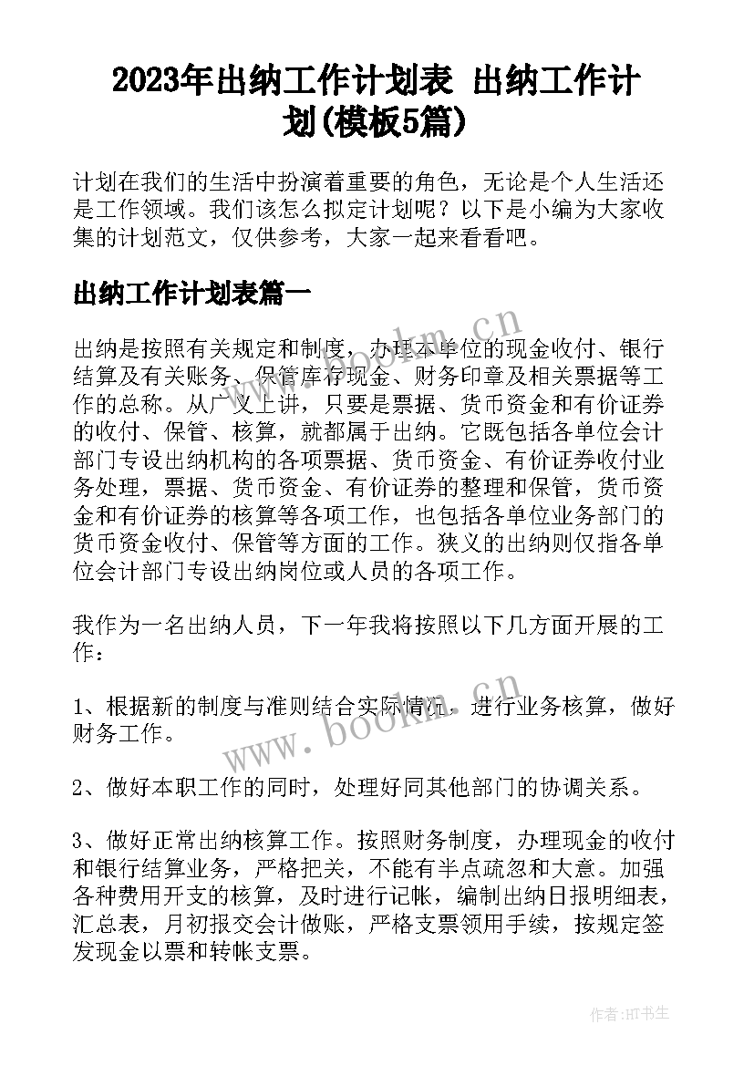 2023年出纳工作计划表 出纳工作计划(模板5篇)