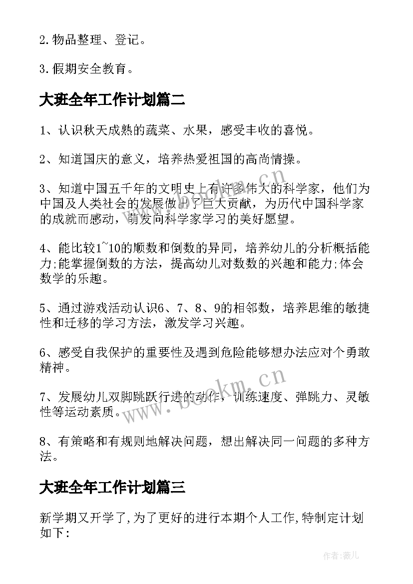 大班全年工作计划(汇总8篇)