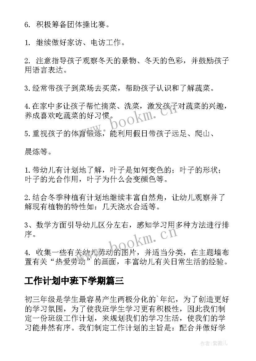 工作计划中班下学期(实用10篇)