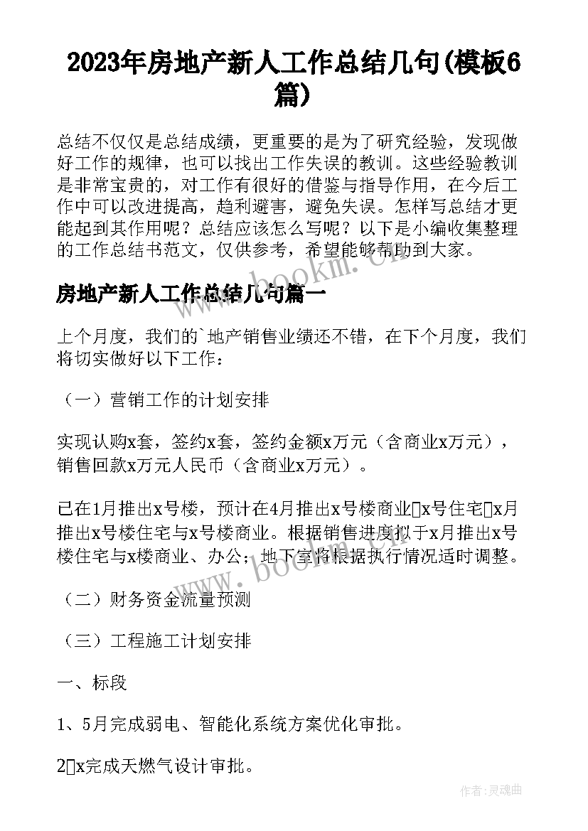 2023年房地产新人工作总结几句(模板6篇)