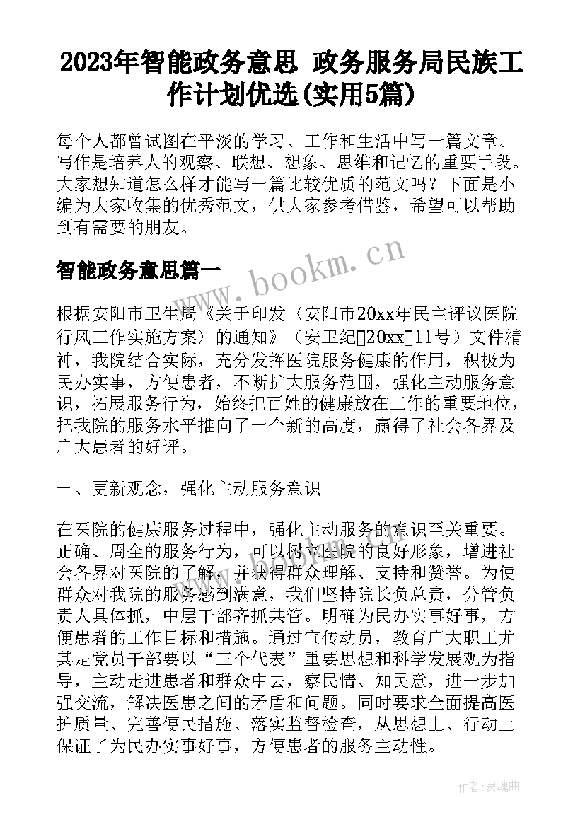 2023年智能政务意思 政务服务局民族工作计划优选(实用5篇)