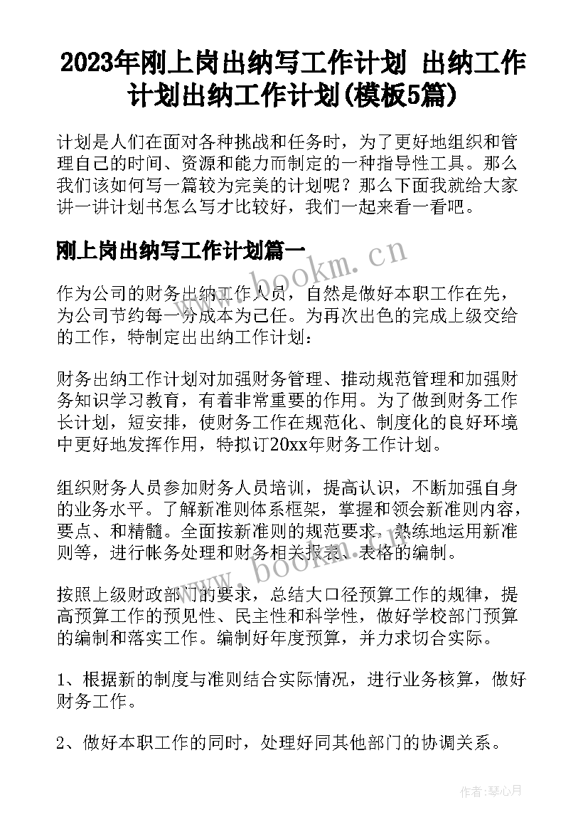 2023年刚上岗出纳写工作计划 出纳工作计划出纳工作计划(模板5篇)