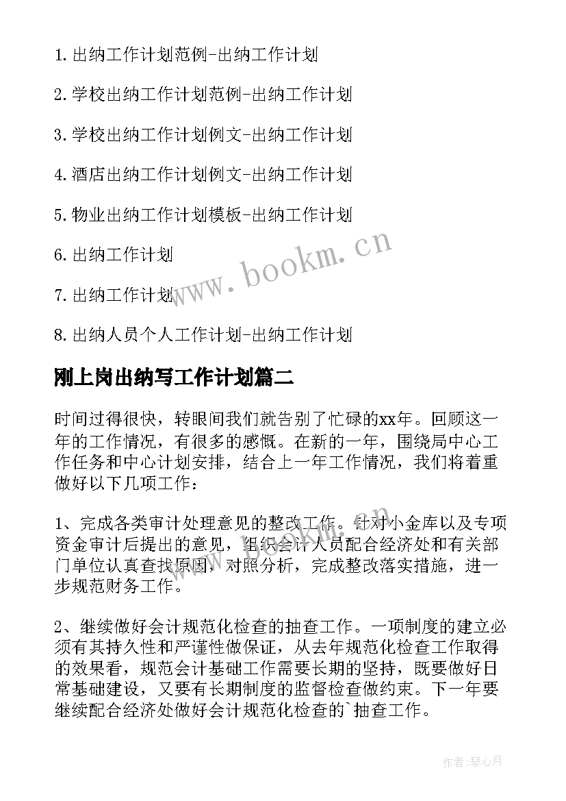 2023年刚上岗出纳写工作计划 出纳工作计划出纳工作计划(模板5篇)