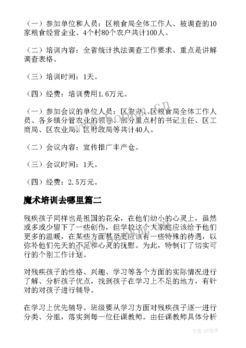 2023年魔术培训去哪里 培训工作计划(汇总5篇)