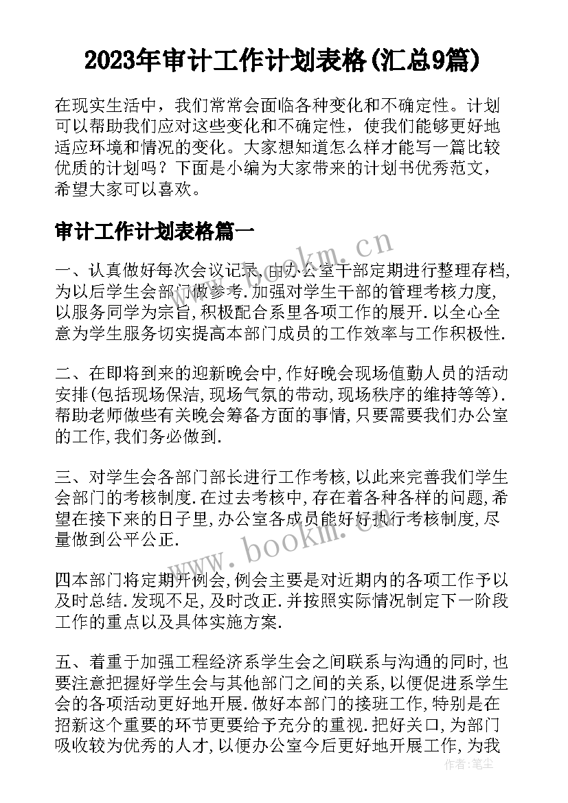 2023年审计工作计划表格(汇总9篇)