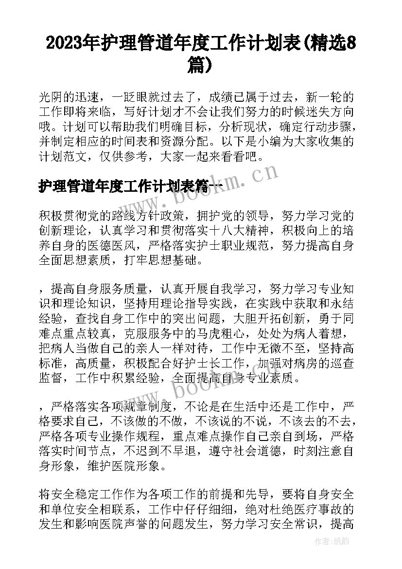 2023年护理管道年度工作计划表(精选8篇)